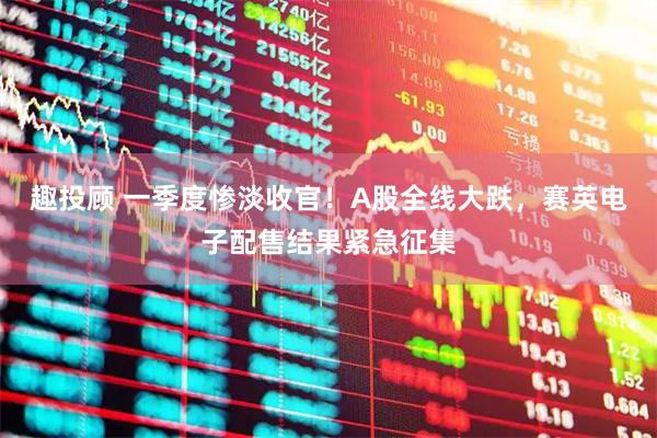 趣投顾 一季度惨淡收官！A股全线大跌，赛英电子配售结果紧急征集